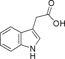 3-Indole acetic acid（IAA) 吲哚-3-乙酸