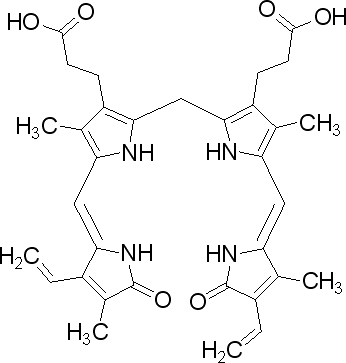 胆红素