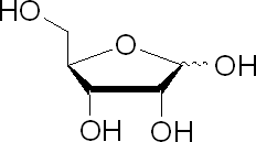 D-核糖