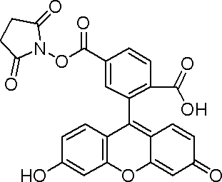 6-羧基荧光素琥珀酰亚胺酯