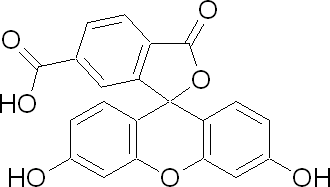 6-羧基荧光素
