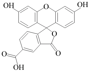 5-羧基荧光素