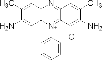 藏红T
