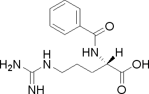 Nα-苯甲酰-L-精氨酸