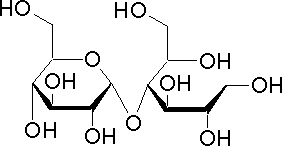 麦芽糖醇
