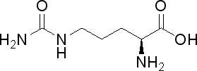 L-瓜氨酸