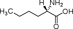 L-正亮氨酸