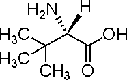 L-叔亮氨酸