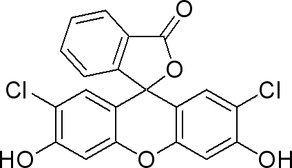 2＇,7＇-二氯荧光素