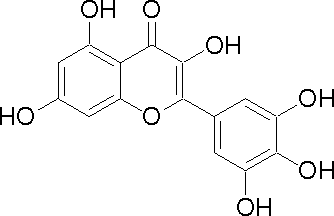 杨梅素