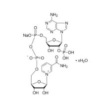 β-烟酰胺腺嘌呤二核苷酸磷酸钠盐水合物,氧化型[生物学研究用]