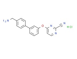 蛋白酶XXIII
