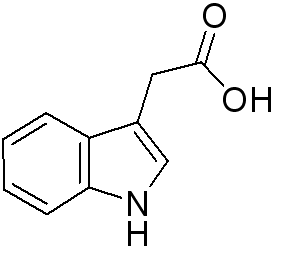 吲哚-3-丁酸