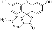 5-氨基荧光素