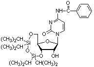 N4-苯甲酰-3',5'-O-(1,1,3,3-四异丙基-1,3-二硅氧烷二基)胞啶