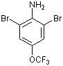 2,6-二溴-4-(三氟甲氧基)苯胺