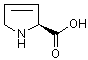 3,4-脱氢-L-脯氨酸