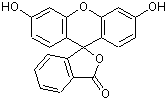荧光素