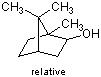 异龙脑