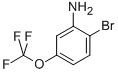 2-溴-5-(三氟甲氧基)苯胺