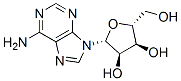 腺苷