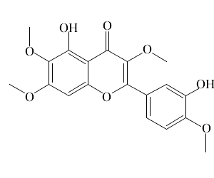 蔓荆子黄素
