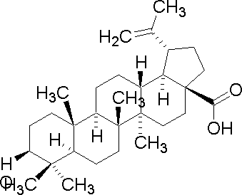 白桦脂酸