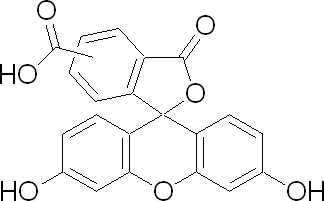 5(6)-羧基荧光素
