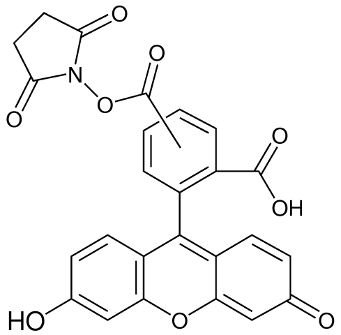 5(6)-羧基荧光素琥珀酰亚胺酯