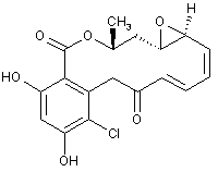 根赤壳菌素