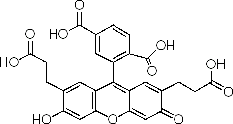 2',7'-二-(2-羧乙基)-5(6)-羧基荧光素