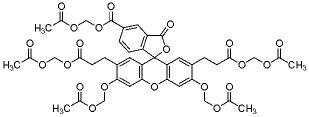 2',7'-二-(2-羧乙基)-5(6)-羧基荧光素乙酰甲酯