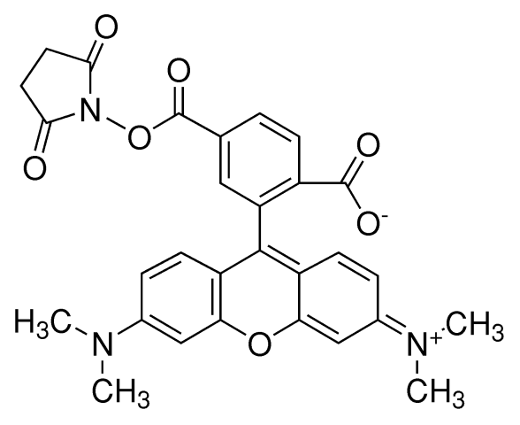 6-羧基四甲基罗丹明琥珀酰亚胺酯