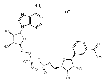 Β-菸鹼醯胺腺嘌呤二核苷酸